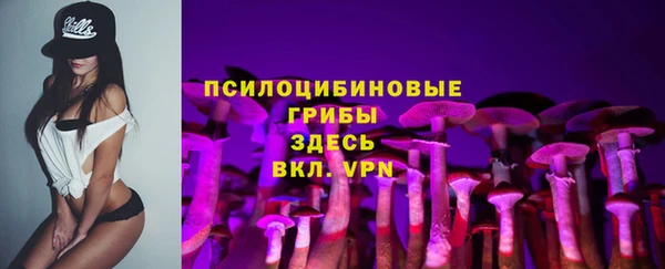 спайс Арсеньев
