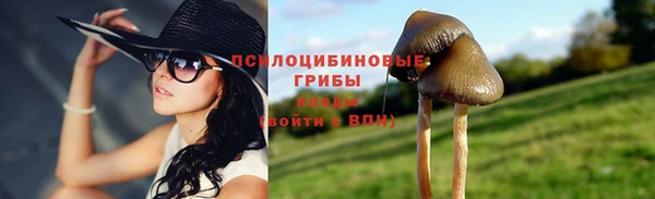 спайс Арсеньев