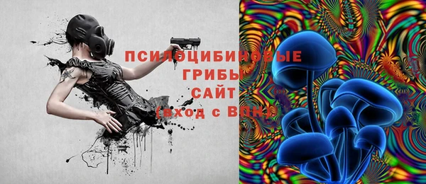 гидропоника Армянск